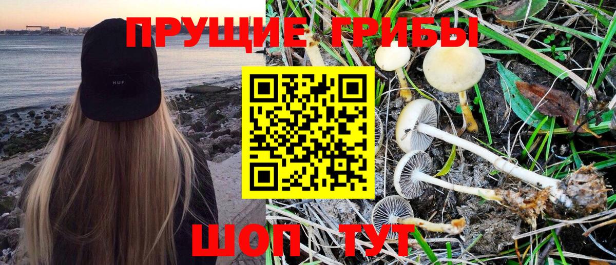Псилоцибиновые грибы MAGIC MUSHROOMS Кузнецк
